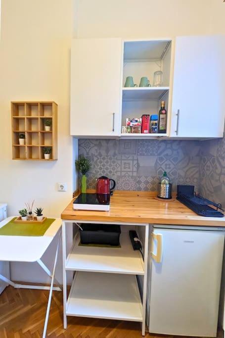 Cozy Ensuite Room In Zagreb Center Екстер'єр фото